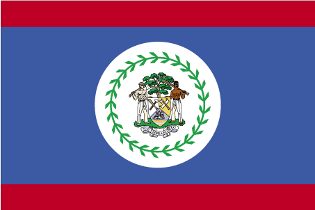 Which country does this flag belong to?