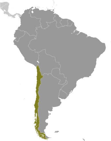 Which country is highlighted on the map?