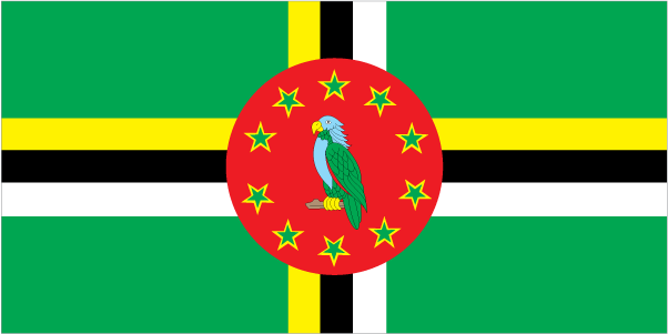 Which country does this flag belong to?