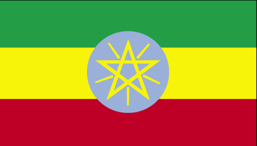 Which country does this flag belong to?