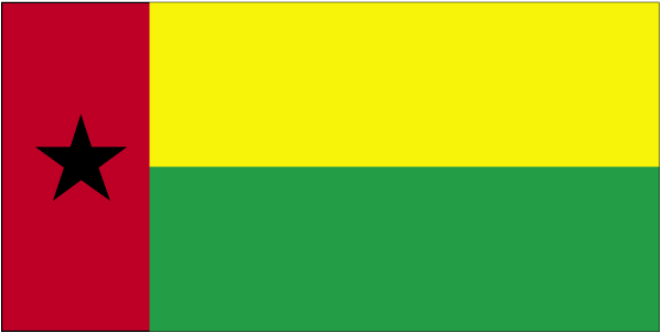 Which country does this flag belong to?