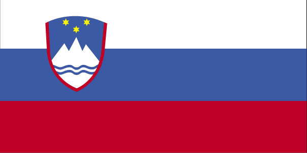 Which country does this flag belong to?