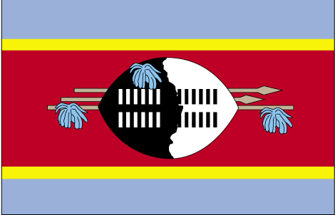 Which country does this flag belong to?