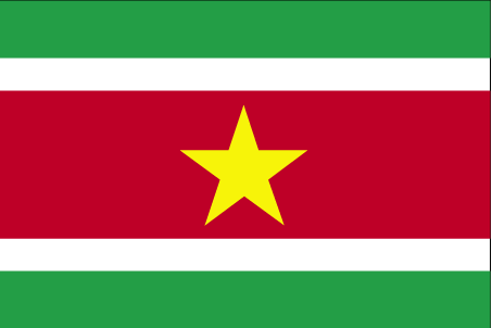 Which country does this flag belong to?
