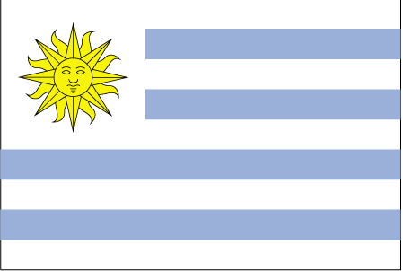Which country does this flag belong to?