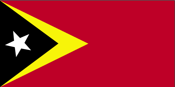 Which country does this flag belong to?