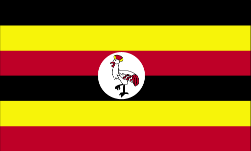 Which country does this flag belong to?