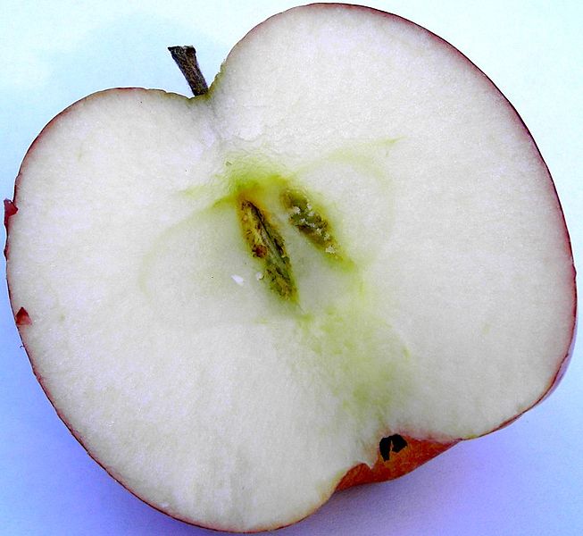 What is the name of this fruit?