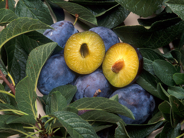 What is the name of this fruit?