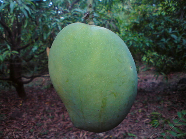 What is the name of this fruit?