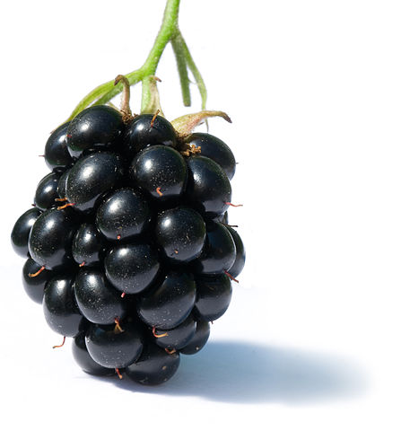 What is the name of this fruit?