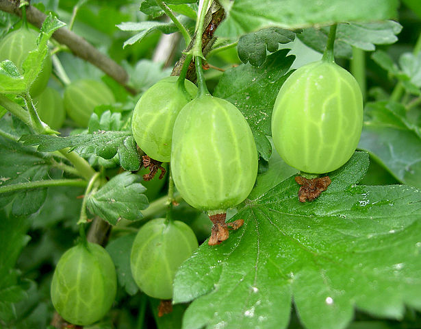 What is the name of this fruit?