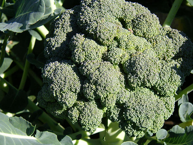 What is the name of this vegetable?