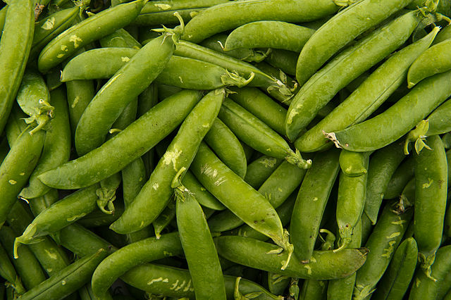 What is the name of this vegetable?