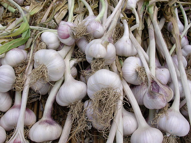What is the name of this vegetable?