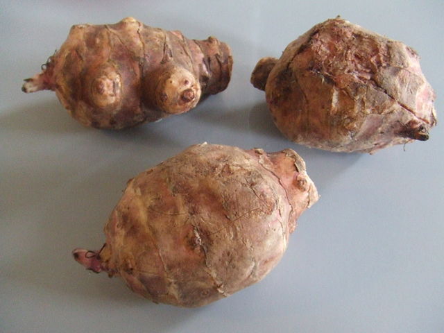 What is the name of this vegetable?