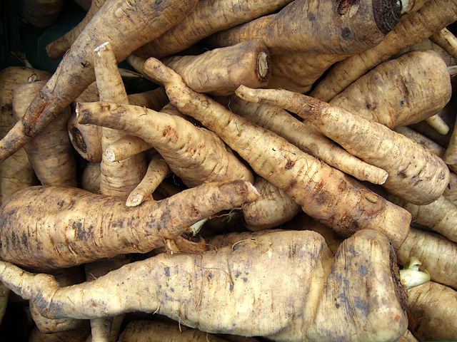 What is the name of this vegetable?