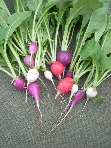 What is the name of this vegetable?