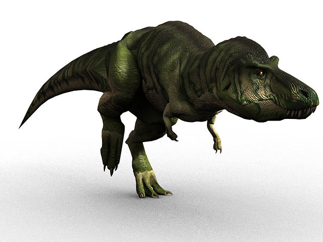 What is the name of this animal?